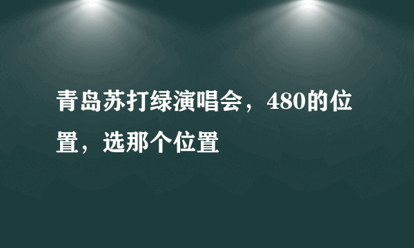 青岛苏打绿演唱会，480的位置，选那个位置
