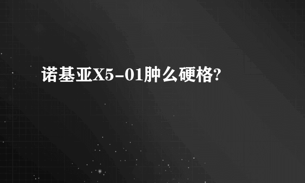 诺基亚X5-01肿么硬格?
