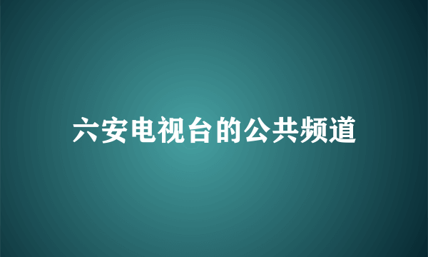 六安电视台的公共频道