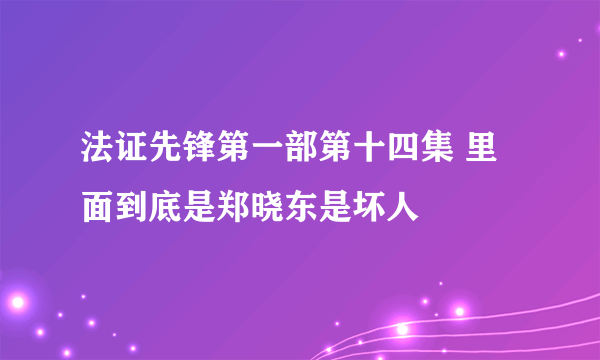 法证先锋第一部第十四集 里面到底是郑晓东是坏人