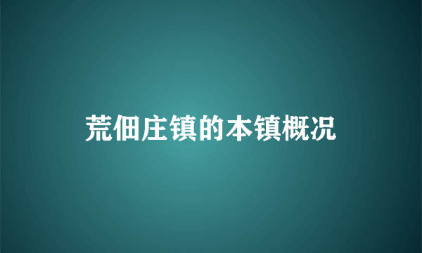 荒佃庄镇的本镇概况