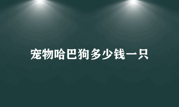 宠物哈巴狗多少钱一只