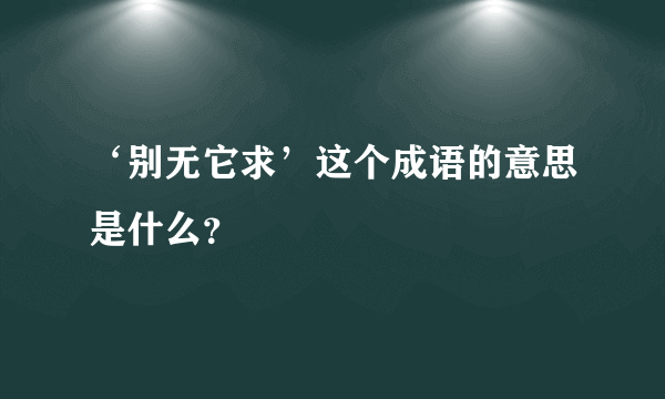 ‘别无它求’这个成语的意思是什么？