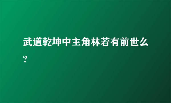 武道乾坤中主角林若有前世么?
