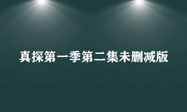 真探第一季第二集未删减版
