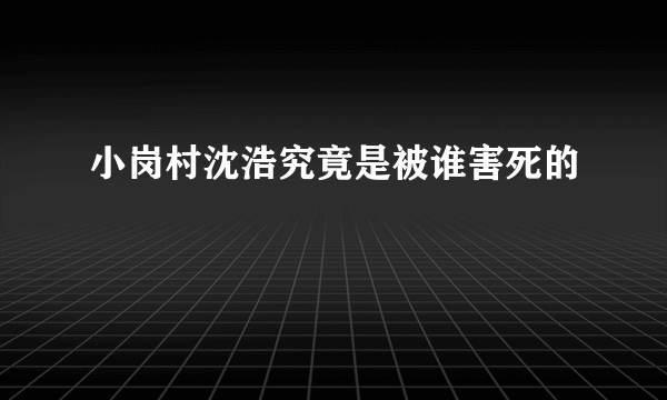 小岗村沈浩究竟是被谁害死的