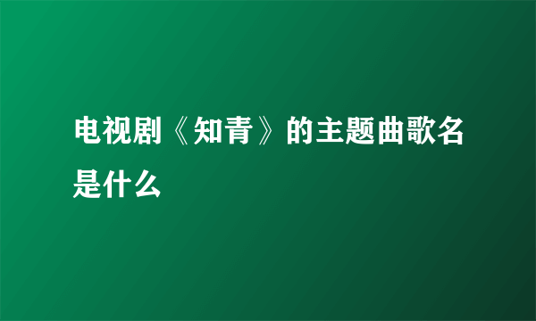 电视剧《知青》的主题曲歌名是什么