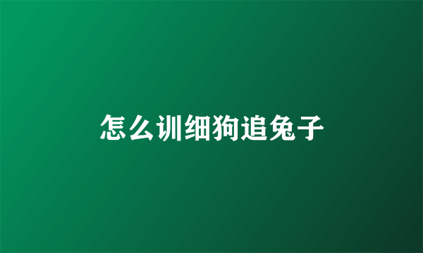 怎么训细狗追兔子
