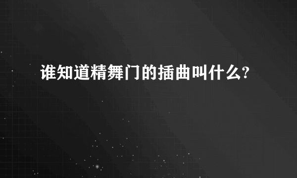 谁知道精舞门的插曲叫什么?