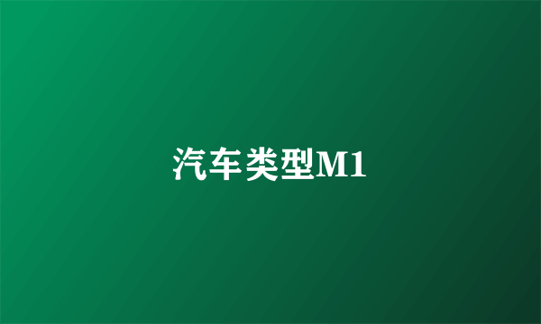 汽车类型M1