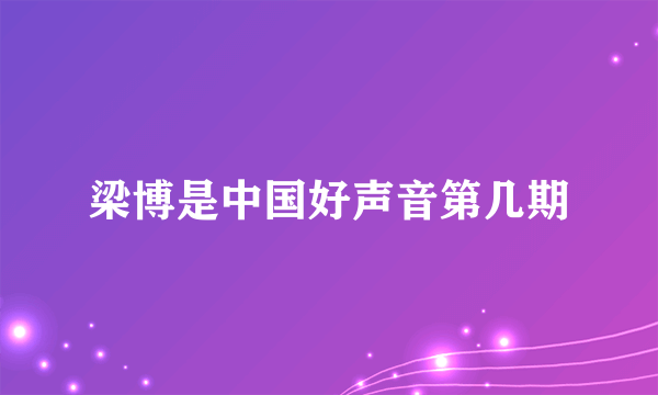 梁博是中国好声音第几期