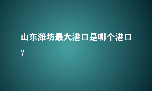 山东潍坊最大港口是哪个港口？