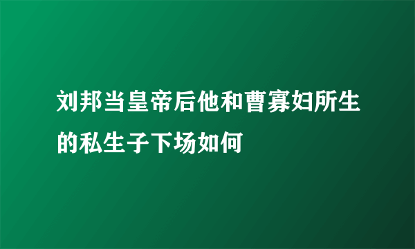 刘邦当皇帝后他和曹寡妇所生的私生子下场如何