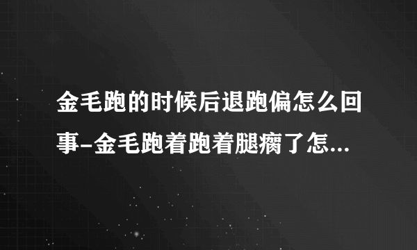 金毛跑的时候后退跑偏怎么回事-金毛跑着跑着腿瘸了怎么回事，该怎么办？