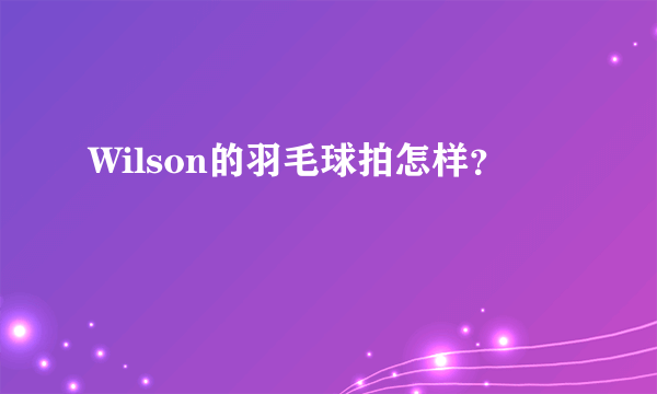 Wilson的羽毛球拍怎样？