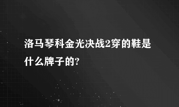 洛马琴科金光决战2穿的鞋是什么牌子的?