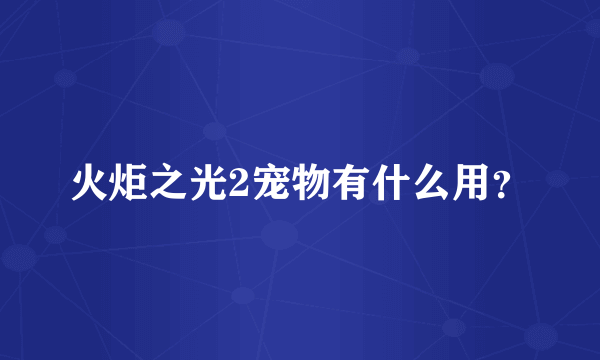 火炬之光2宠物有什么用？