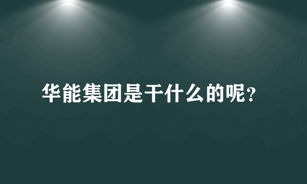 华能集团是干什么的呢？