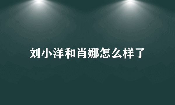 刘小洋和肖娜怎么样了