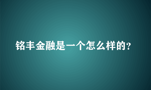 铭丰金融是一个怎么样的？