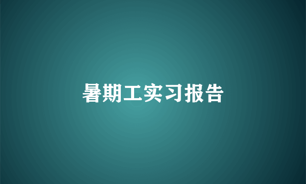 暑期工实习报告