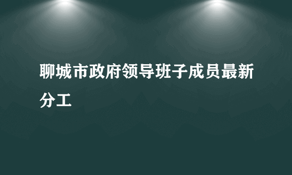 聊城市政府领导班子成员最新分工