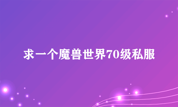 求一个魔兽世界70级私服