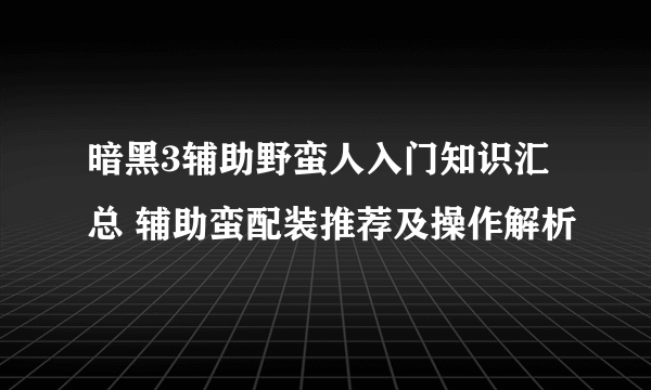 暗黑3辅助野蛮人入门知识汇总 辅助蛮配装推荐及操作解析