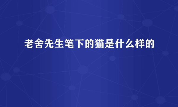 老舍先生笔下的猫是什么样的