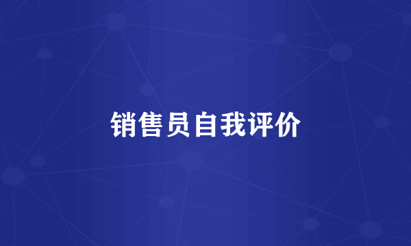 销售员自我评价