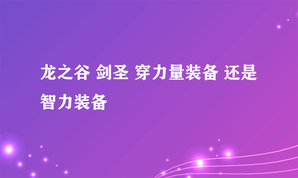 龙之谷 剑圣 穿力量装备 还是 智力装备