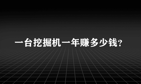 一台挖掘机一年赚多少钱？