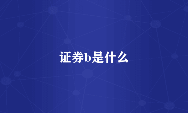 证券b是什么