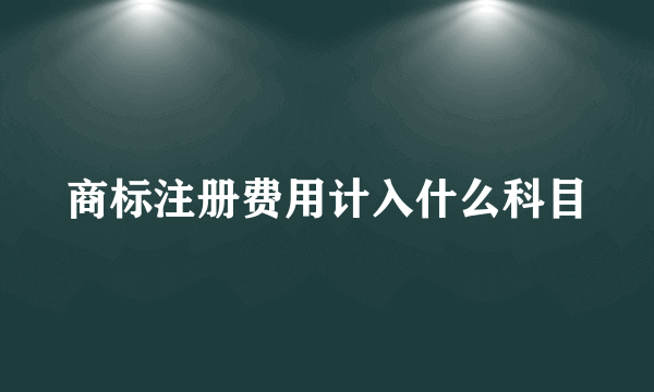 商标注册费用计入什么科目