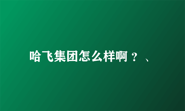 哈飞集团怎么样啊 ？、