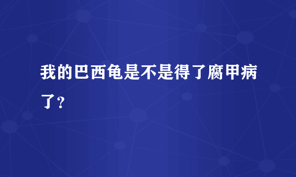我的巴西龟是不是得了腐甲病了？