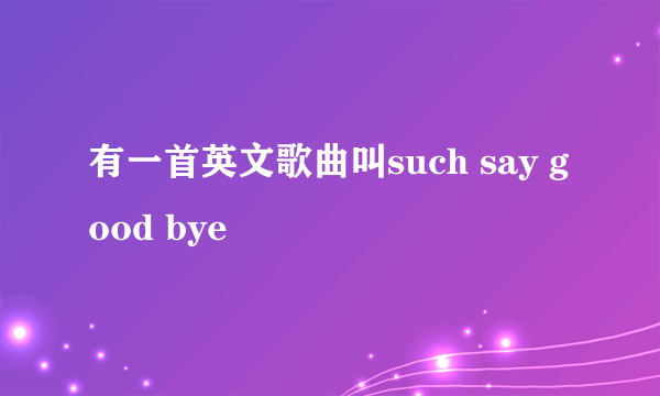 有一首英文歌曲叫such say good bye