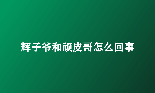 辉子爷和顽皮哥怎么回事