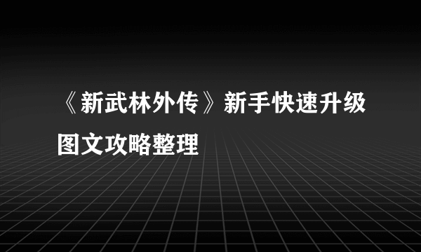 《新武林外传》新手快速升级图文攻略整理