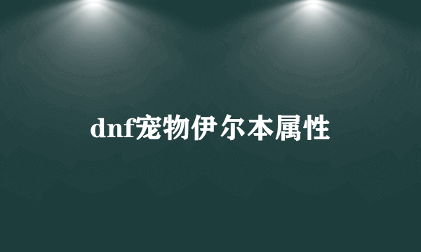 dnf宠物伊尔本属性