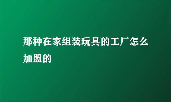 那种在家组装玩具的工厂怎么加盟的