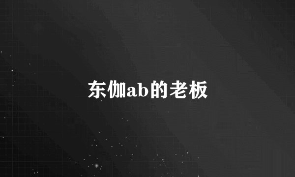 东伽ab的老板