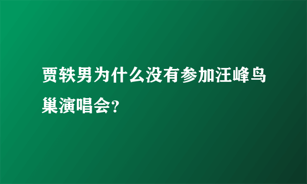 贾轶男为什么没有参加汪峰鸟巢演唱会？