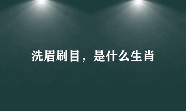 洗眉刷目，是什么生肖