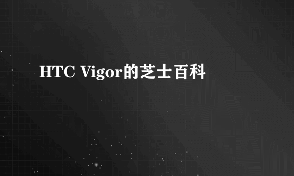 HTC Vigor的芝士百科
