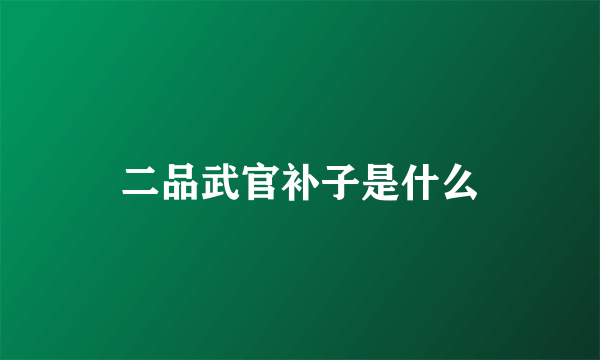 二品武官补子是什么