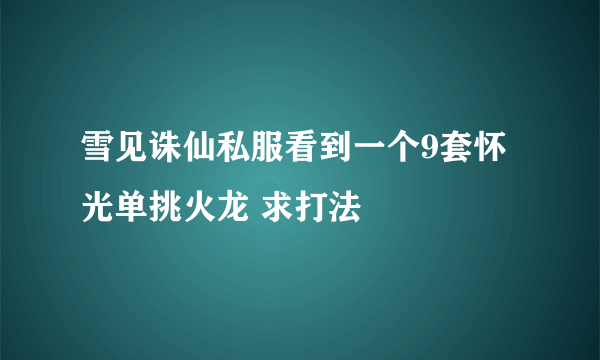 雪见诛仙私服看到一个9套怀光单挑火龙 求打法
