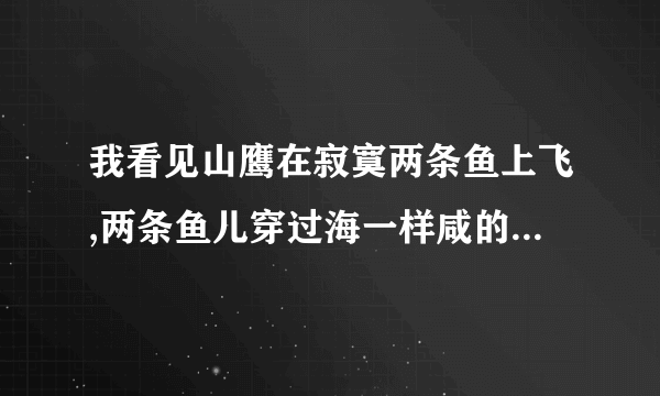 我看见山鹰在寂寞两条鱼上飞,两条鱼儿穿过海一样咸的河水是什么意思?