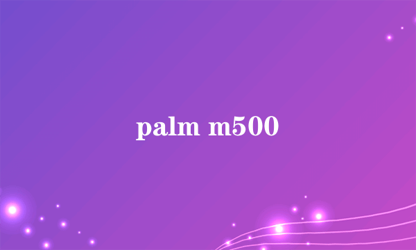 palm m500