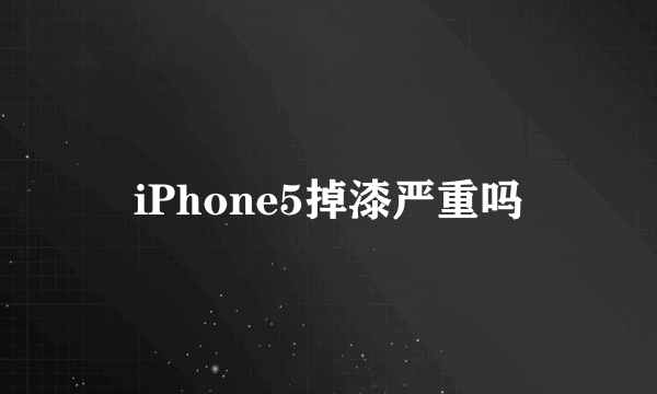 iPhone5掉漆严重吗